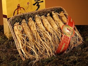 홍삼 제품을 구매하는 방법