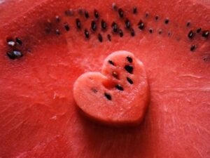 여름 과일 베스트